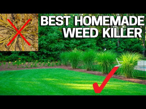 Best Homemade Organic Weed Control - Natural &amp; Safe Vinegar Boosted