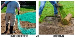 Sod vs Hydroseed - Differences, Cost & How to Choose | CrabgrassLawn