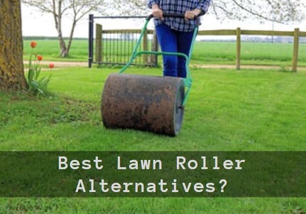 Best Lawn Roller Alternatives