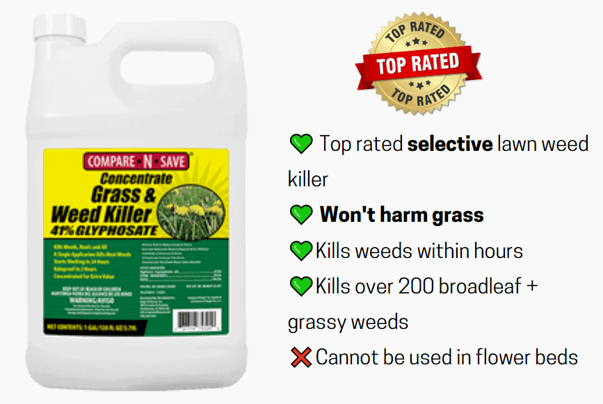 8 Best Weed Killers for Lawns + Reviews 2020] CG Lawn
