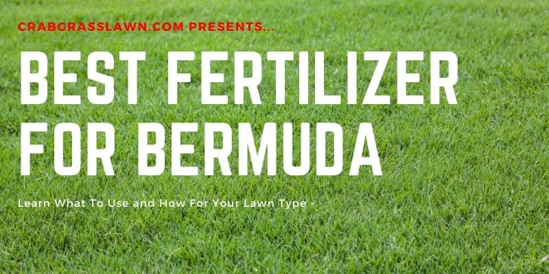 8 Best Fertilizer for Bermuda Grass [Liquid + Granular - 2020 Reviews