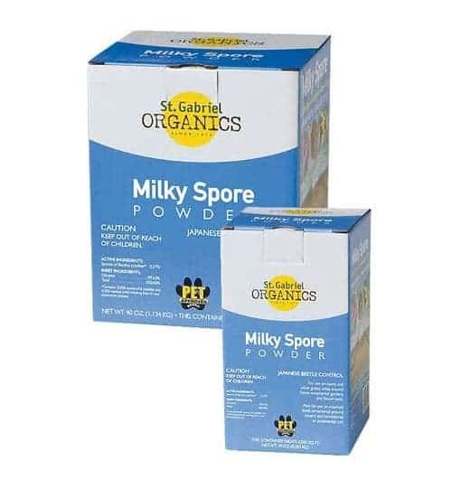 Best Grub Killer [Top 7 Liquid + Granular Insecticides Reviews] CG Lawn