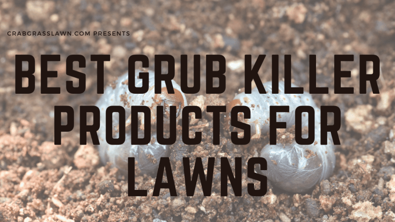 best grub killer granuals for lawns e1592945229101