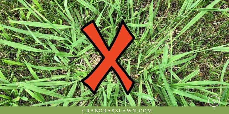 does 2,4-d kill crabgrass?