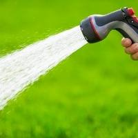 how often should i water my lawn?