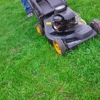 how often should you mow grass