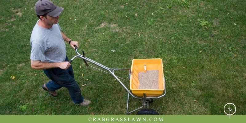 how to fertilize a yard