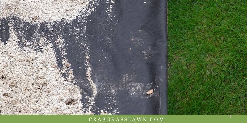 landscape fabric to kill bermuda grass