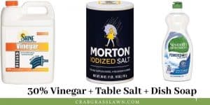 30 Percent Vinegar Weed Killer Recipe - Natural Weed Killer Option