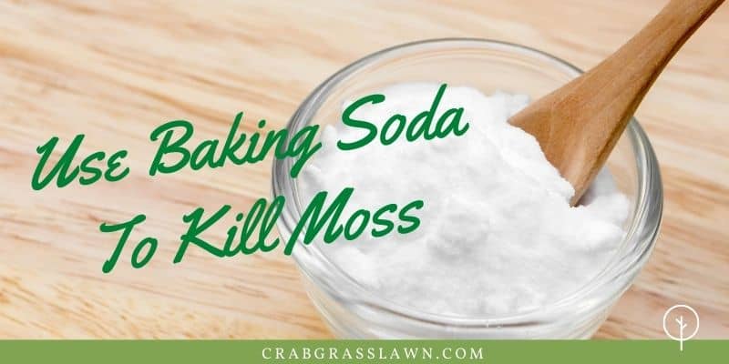 baking soda to kill moss