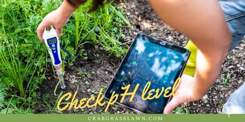 check ph levels for moss growth