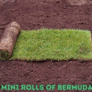 How Much Does A Pallet Of Sod Weigh? Sod Square Feet Calculator