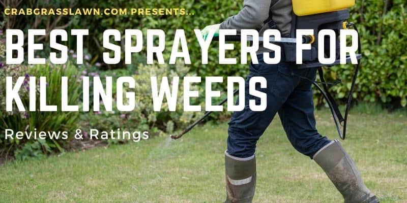 best weed killer sprayers