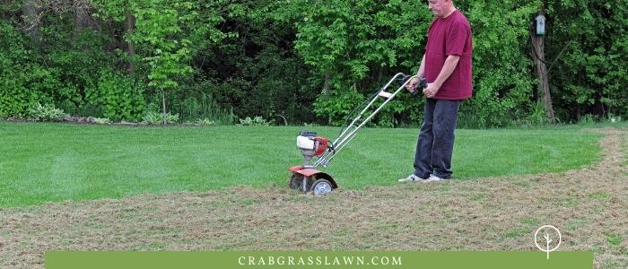 dethatching a lawn