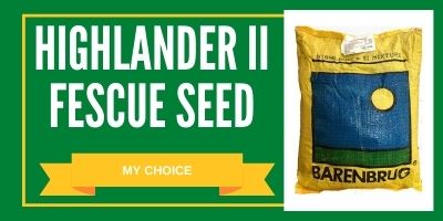 highlander ii tall fescue seed review