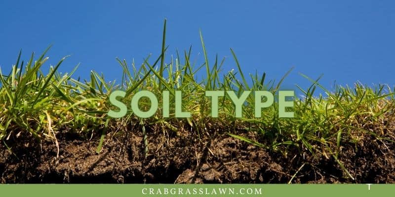 use the right soil type for st. augustine grass