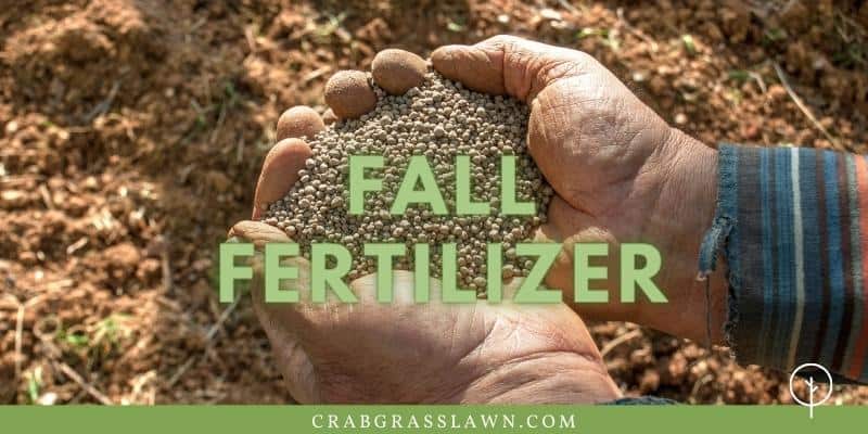 how to apply fall fertilizer