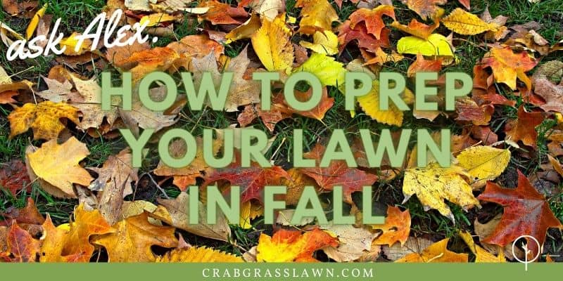 how to prep your lawn for winter1