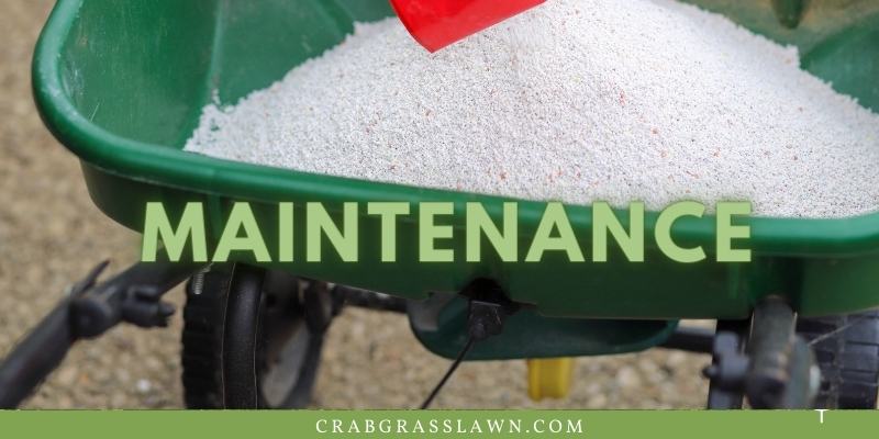 how to maintain st. augustine grass