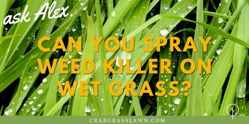 can you spray weed killer on wet grass