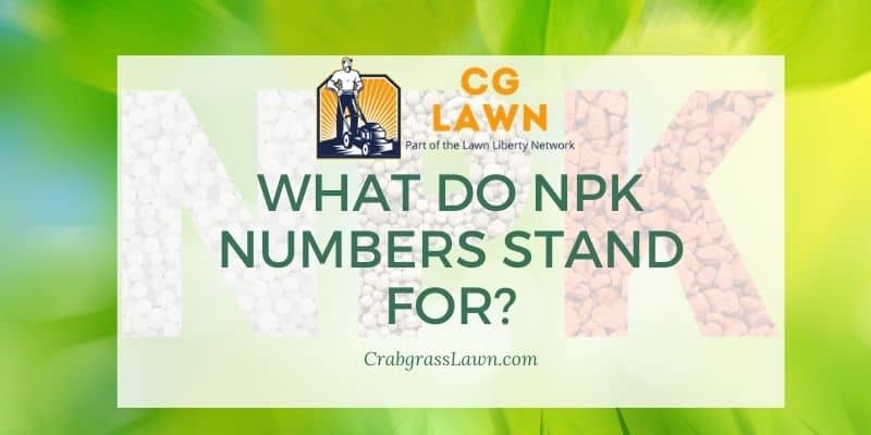 what do npk numbers stand for?