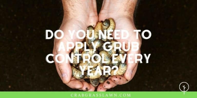 When to Apply Grub Control [Best Time to Treat Your Lawn] | CrabgrassLawn