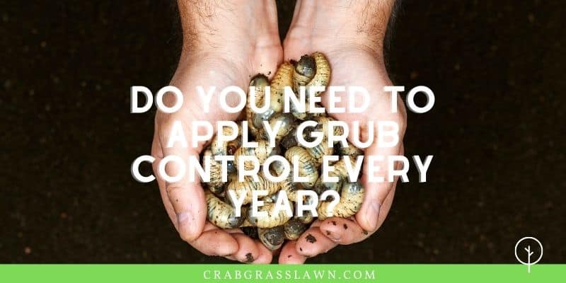 Do you need to apply grub control every year?