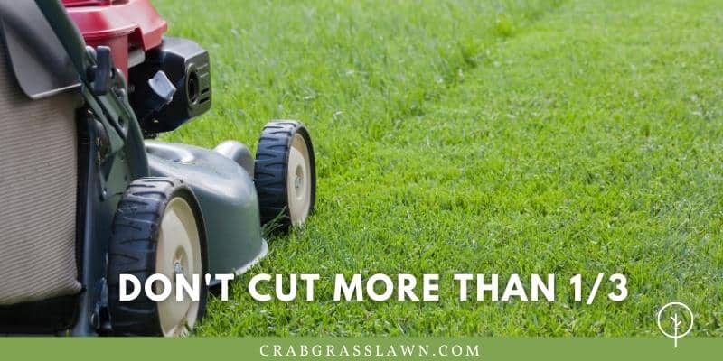 Don't cut more than 1/3 of the blade