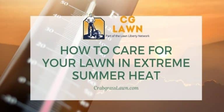 How to care for your lawn in extreme summer heat