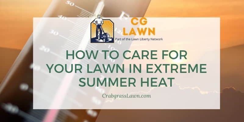 How to care for your lawn in extreme summer heat