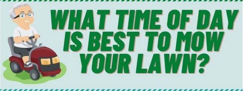 what is the best time of day to cut grass
