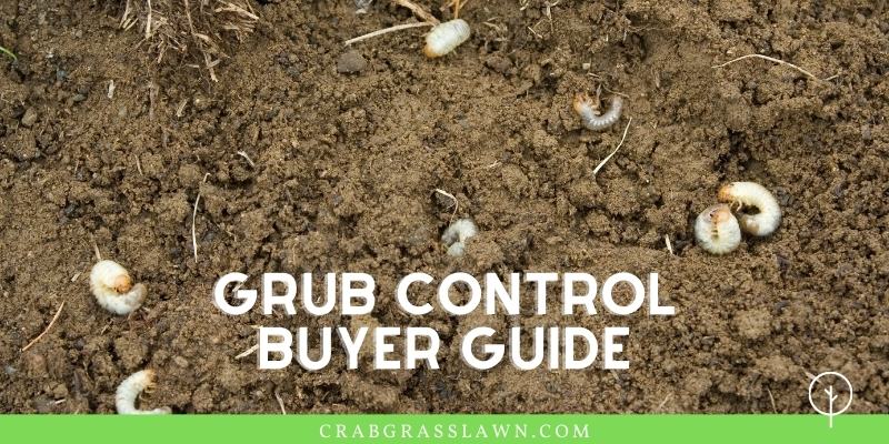 grub control buyer guide