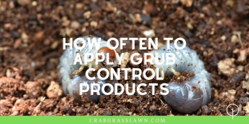 how often to apply grub control products
