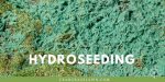 Sod vs Hydroseed - Differences, Cost & How to Choose | CrabgrassLawn