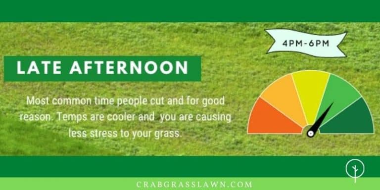What Is The Best Time Of Day To Cut Your Grass? Lawn Mowing Etiquette
