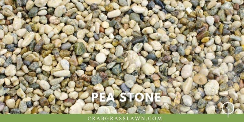 what does pea stone look like?