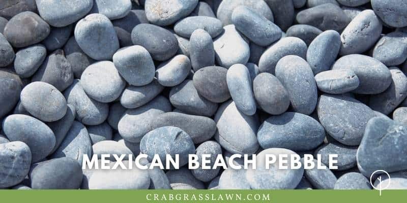 what does Mexican Beach Pebble look like?