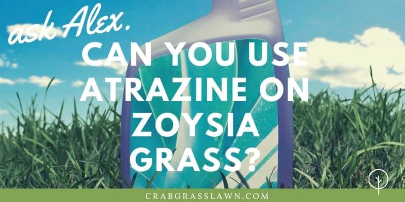 Can You Use Atrazine on Zoysia Grass?