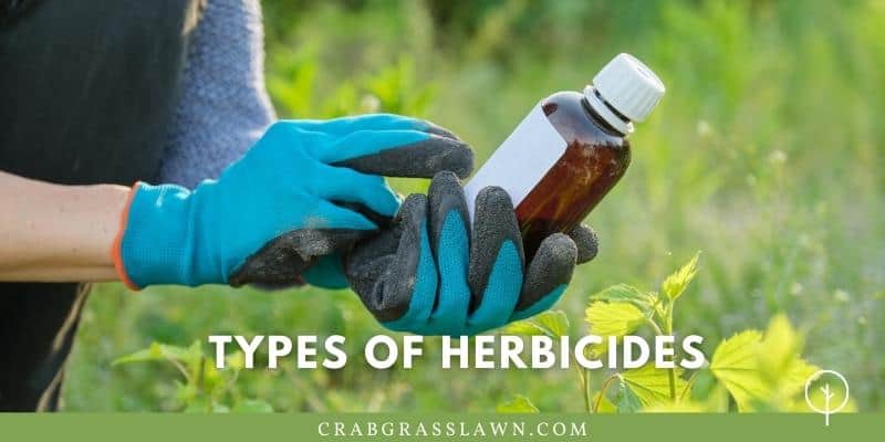 what are the types of herbicides