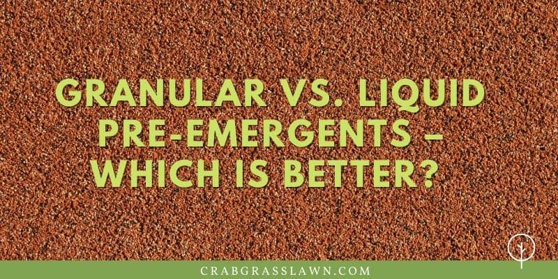 Granular vs. Liquid Pre-Emergents – Which is Better? 