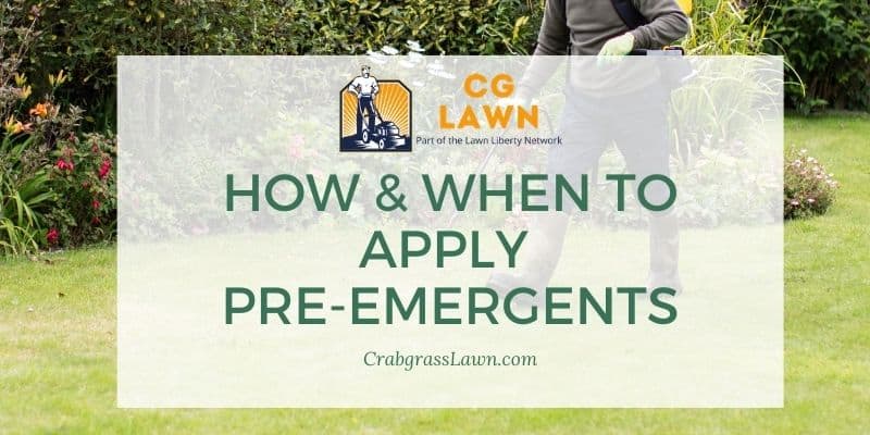When To Apply Pre Emergent In Massachusetts 6 Best Pre-Emergent Herbicides For Lawns- How To Apply Pre-Emergents