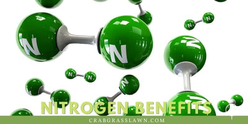 nitrogen benefits
