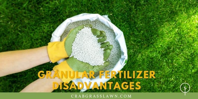 Granular Fertilizer Disadvantages