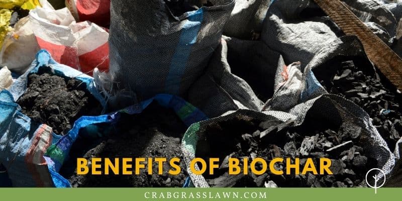 benefits of biochar