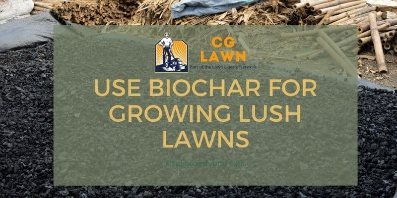 how to use biochar for growing lush lawns