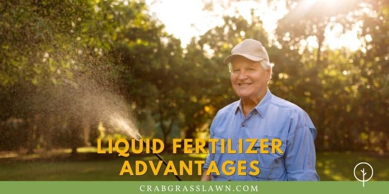 liquid fertilizer advantages