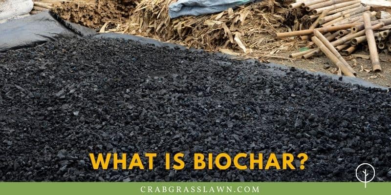 what is biochar?