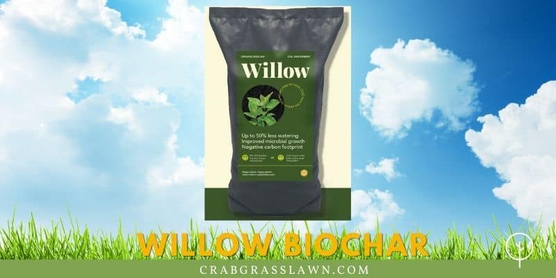 willow biochar review