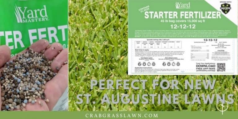 Terrific Fertilizer St Augustine Images