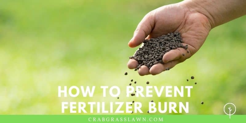 How to prevent fertilizer burn